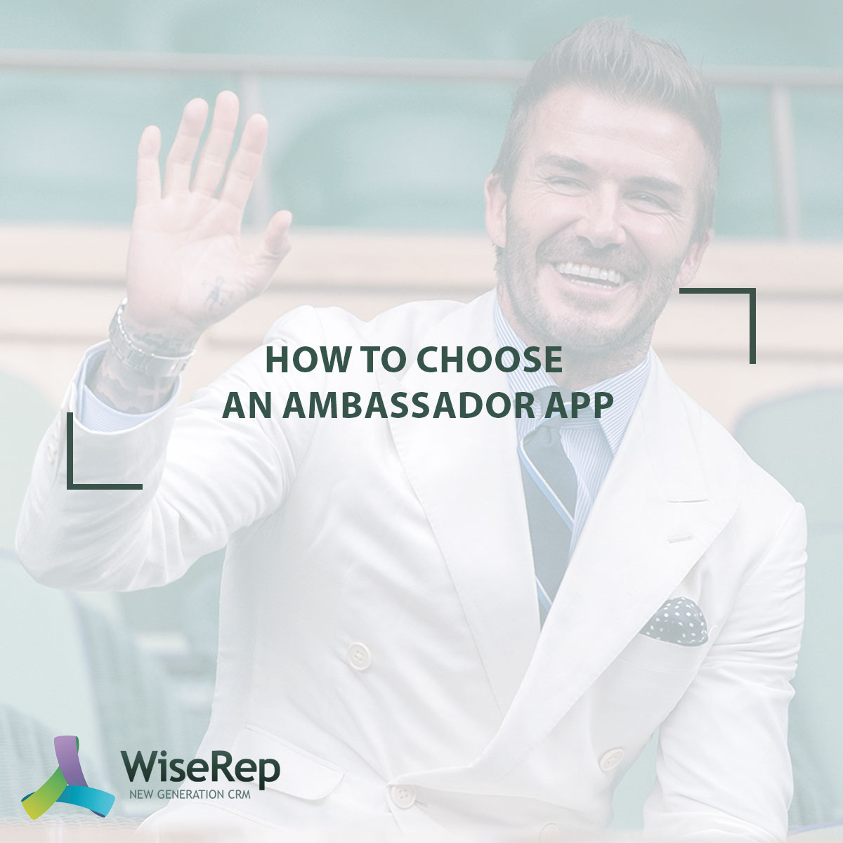 How to choose an ambassador app