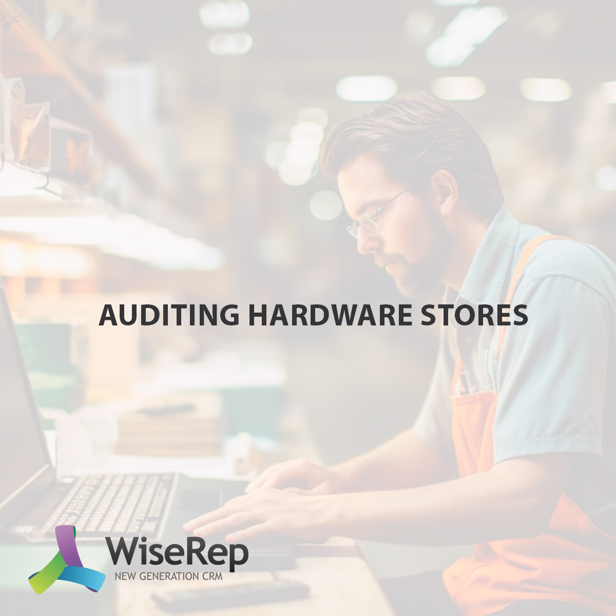 Auditing Hardware Stores