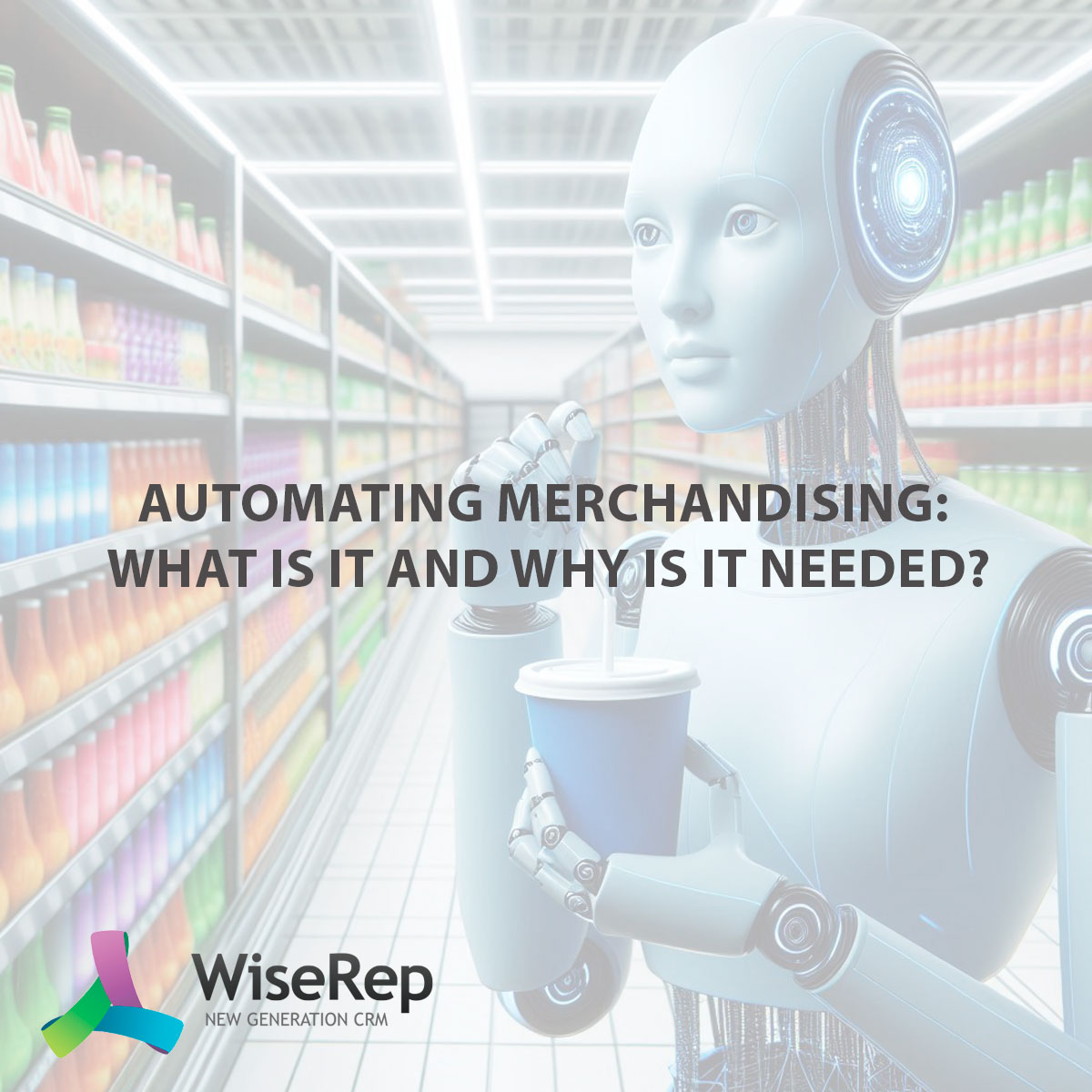 Automating Merchandising: What Is It and Why Is It Needed?