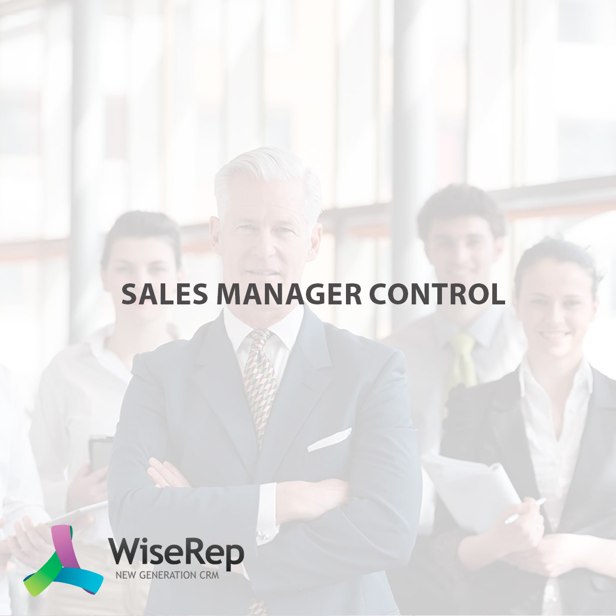 Sales Manager Control