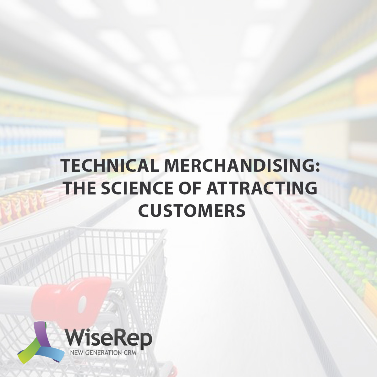 Technical Merchandising: The Science of Attracting Customers